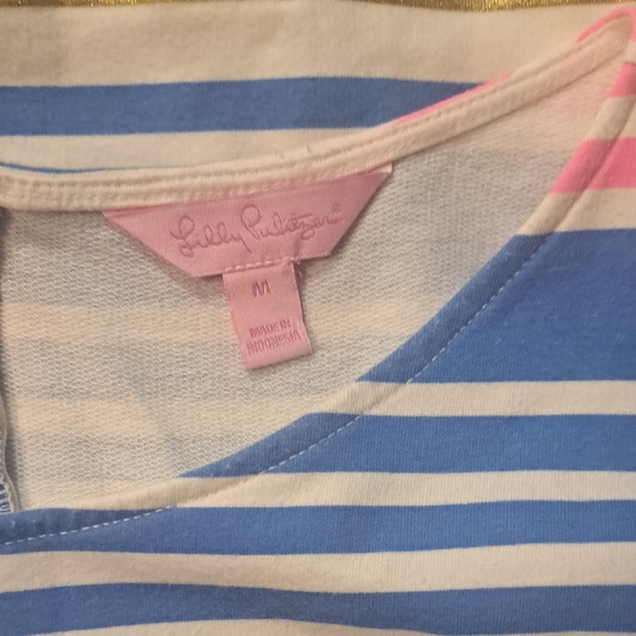 Lilly Pulitzer Striped Blue and Pink  Dress - Picture 2 of 5